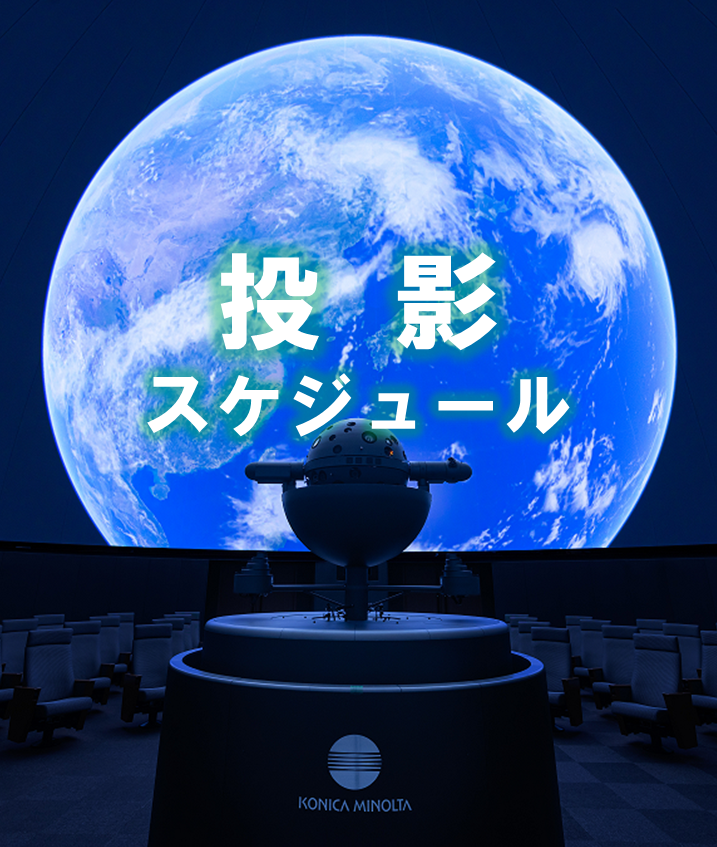 投影スケジュール(2025年2月8日~2025年3月2日)
