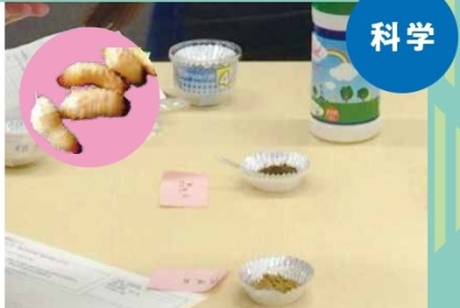 【ハチラボ講座】昆虫食を体験しよう