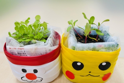 【ワークショップ】オリジナルのミニ畑を作ろう！トウミョウ栽培教室