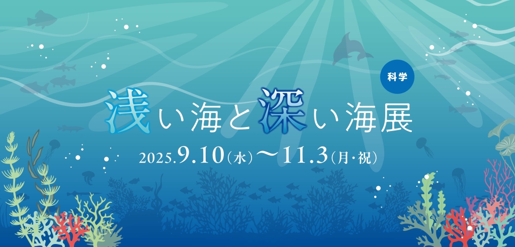 【特別展】浅い海と深い海展