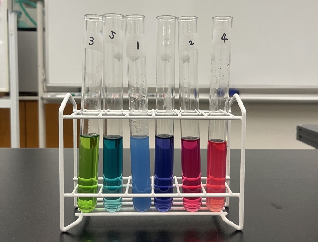 【ハチラボ】2026年 1月 イベントカレンダー