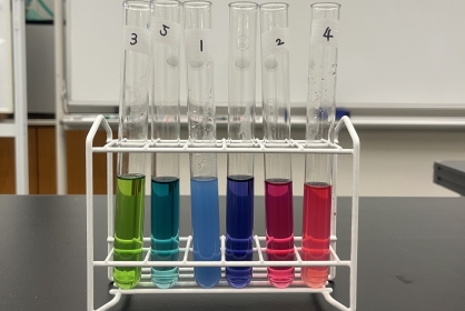 【ワークショップ】むらさき色の水のひみつの解き明かそう！