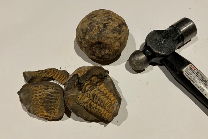 【科学オリンピックワークショップ：地学】「三葉虫の化石発掘にチャレンジ！」