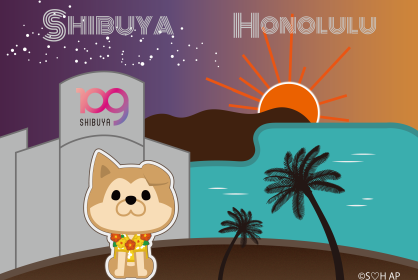 19:00『ハワイの冬の星空』